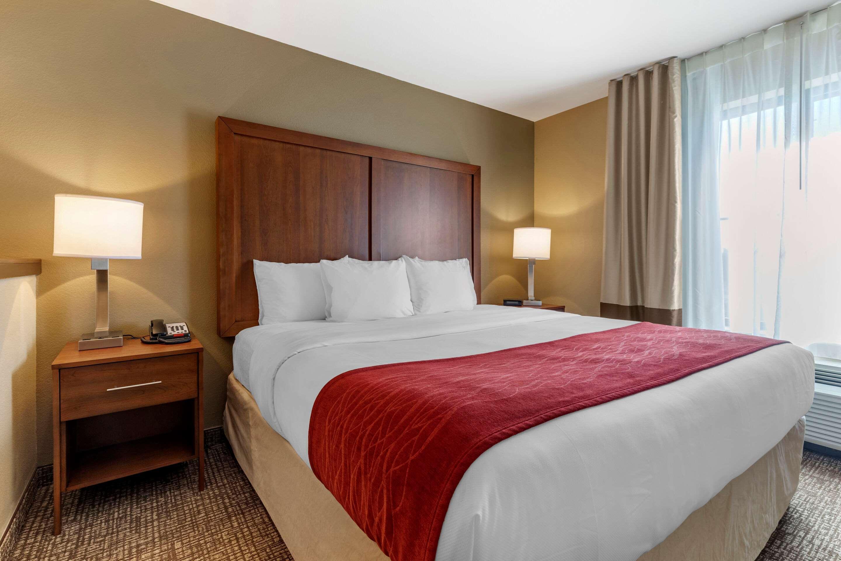 Comfort Inn & Suites Russellville I-40 מראה חיצוני תמונה