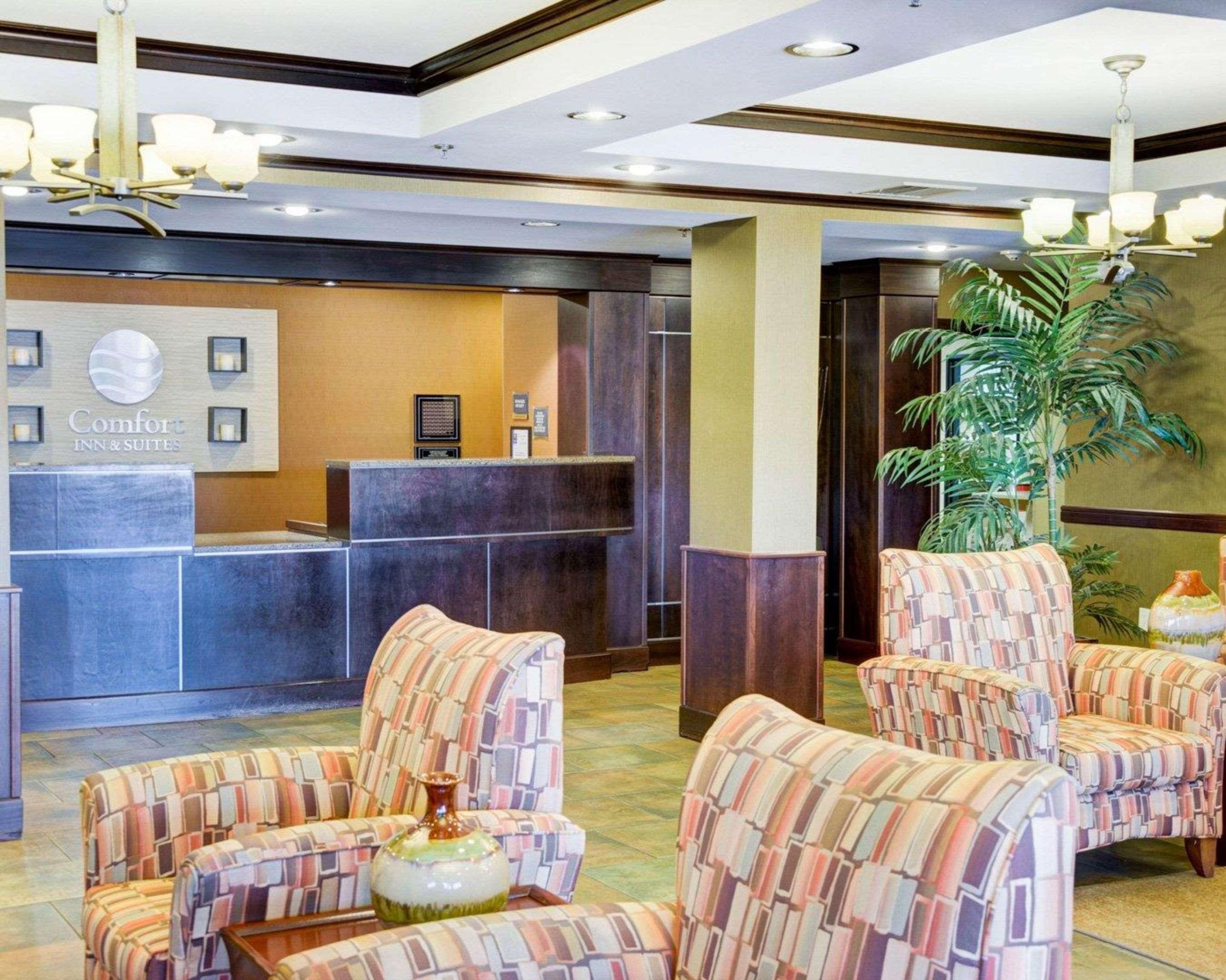 Comfort Inn & Suites Russellville I-40 מראה חיצוני תמונה