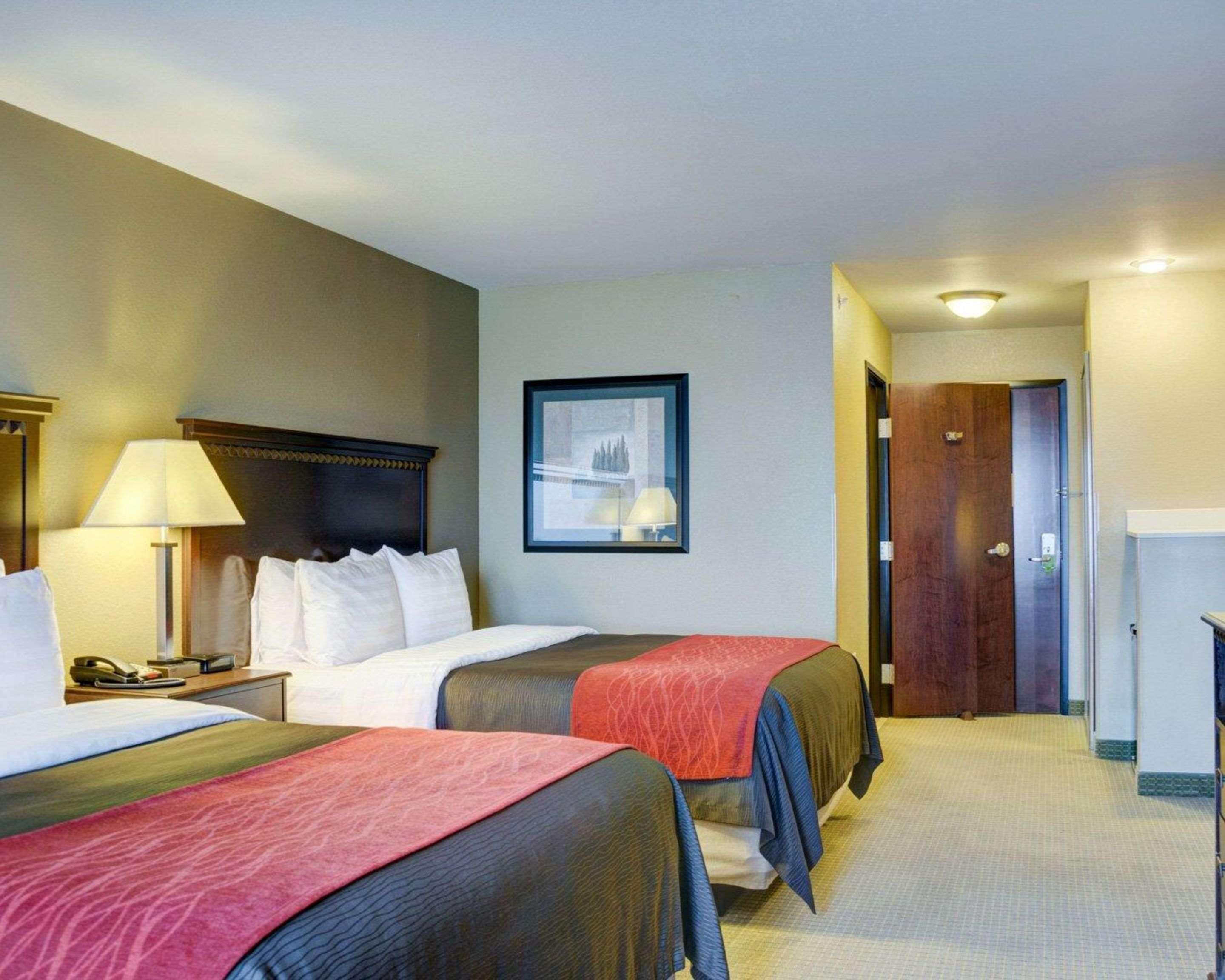 Comfort Inn & Suites Russellville I-40 מראה חיצוני תמונה