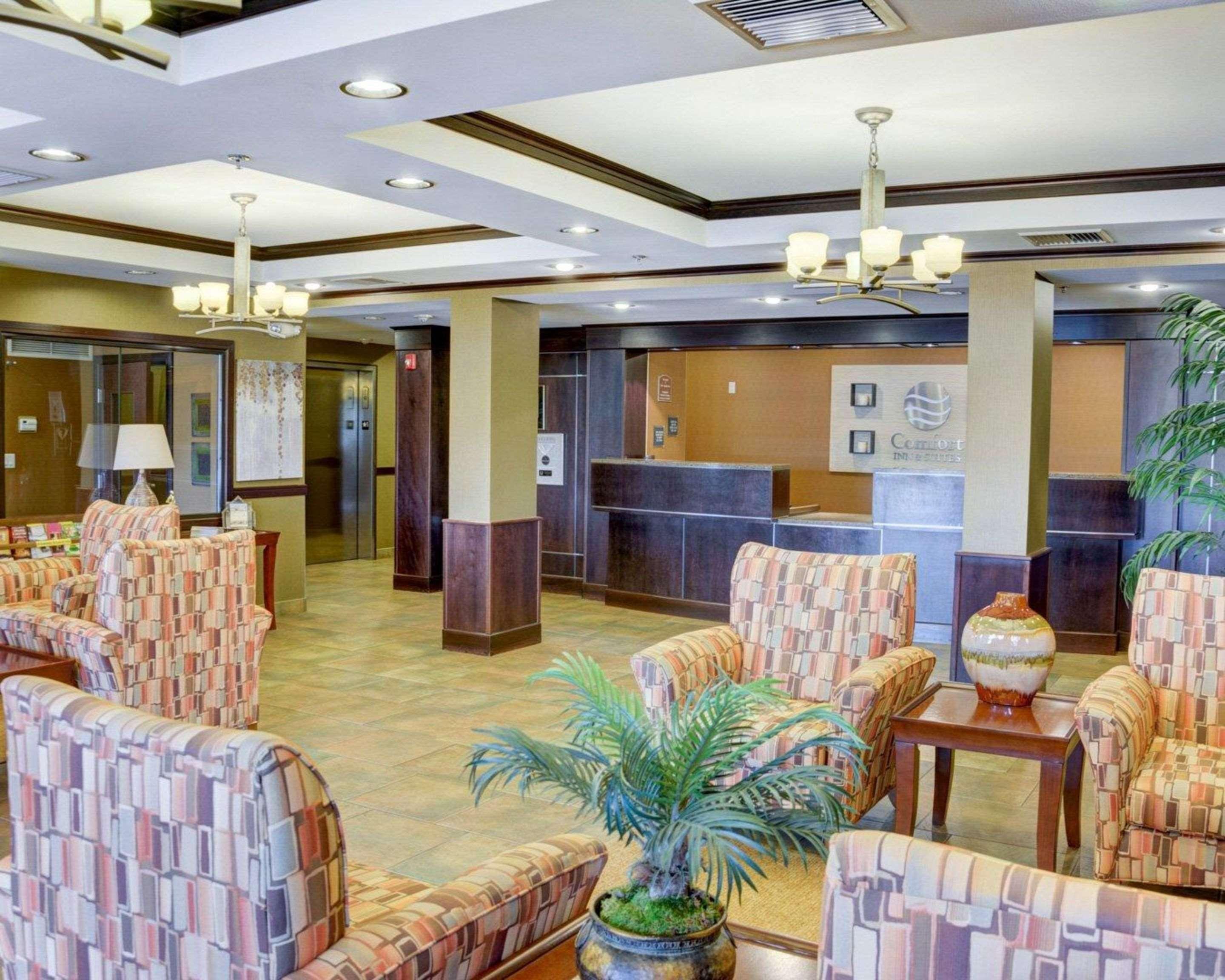 Comfort Inn & Suites Russellville I-40 מראה חיצוני תמונה