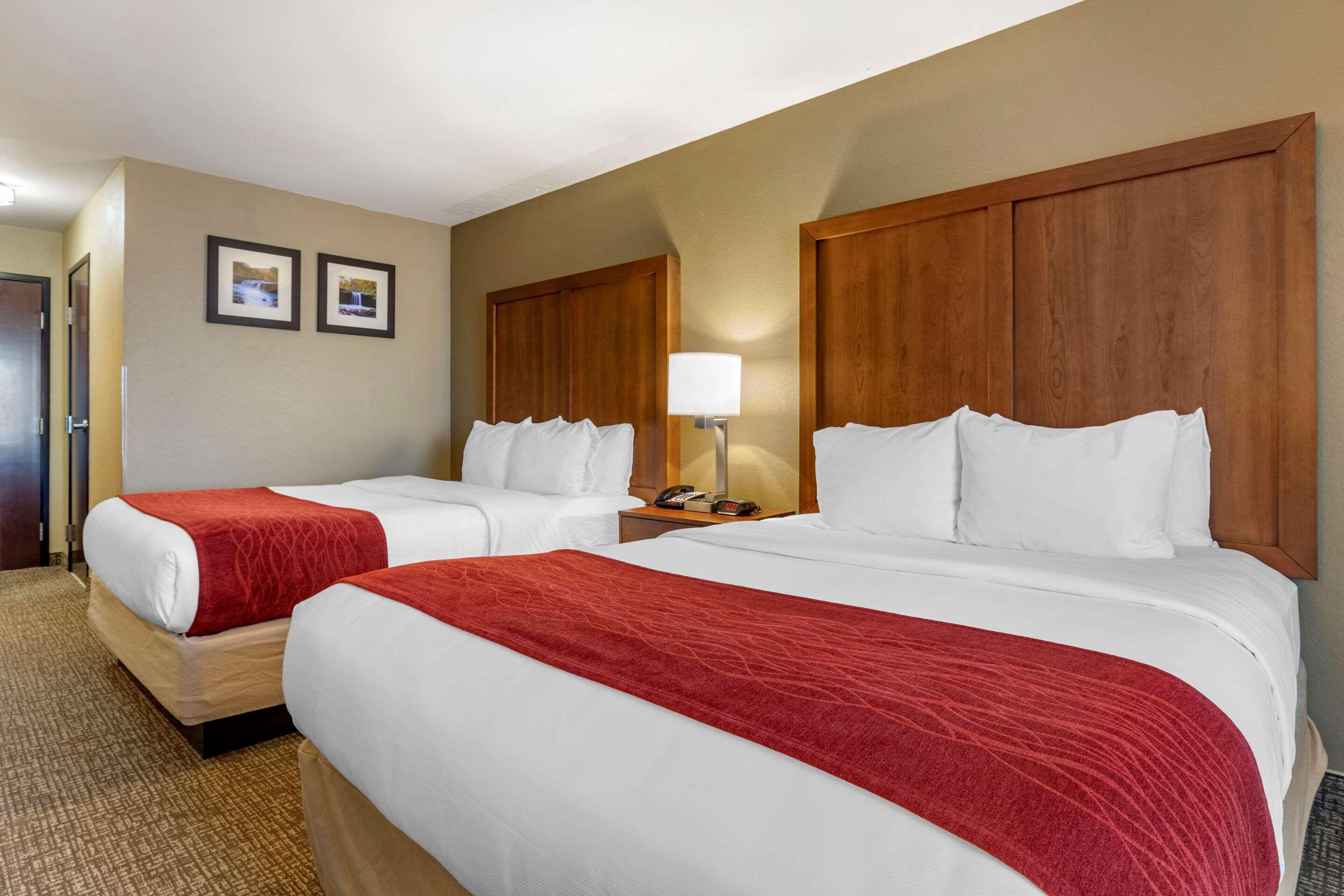 Comfort Inn & Suites Russellville I-40 מראה חיצוני תמונה