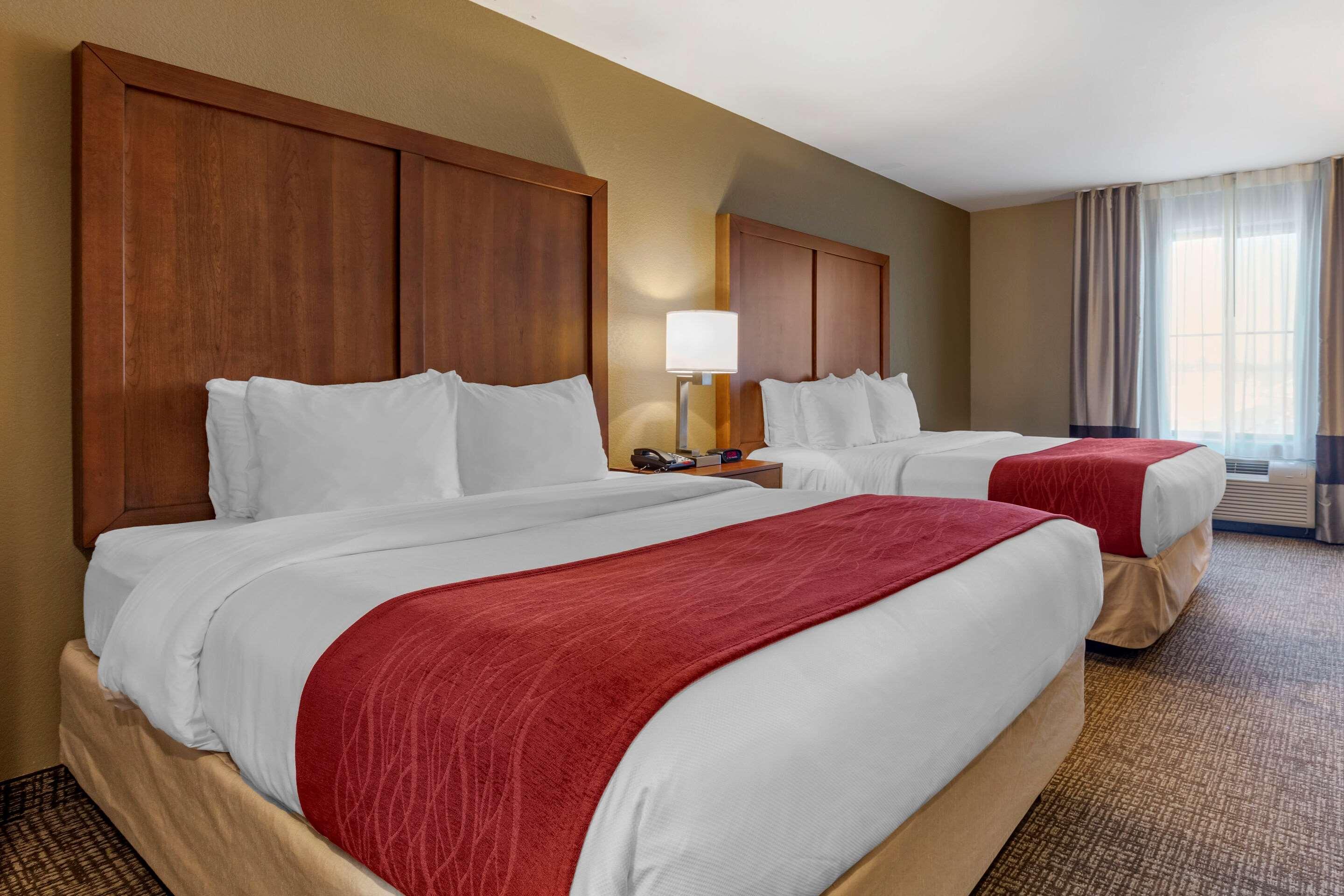 Comfort Inn & Suites Russellville I-40 מראה חיצוני תמונה