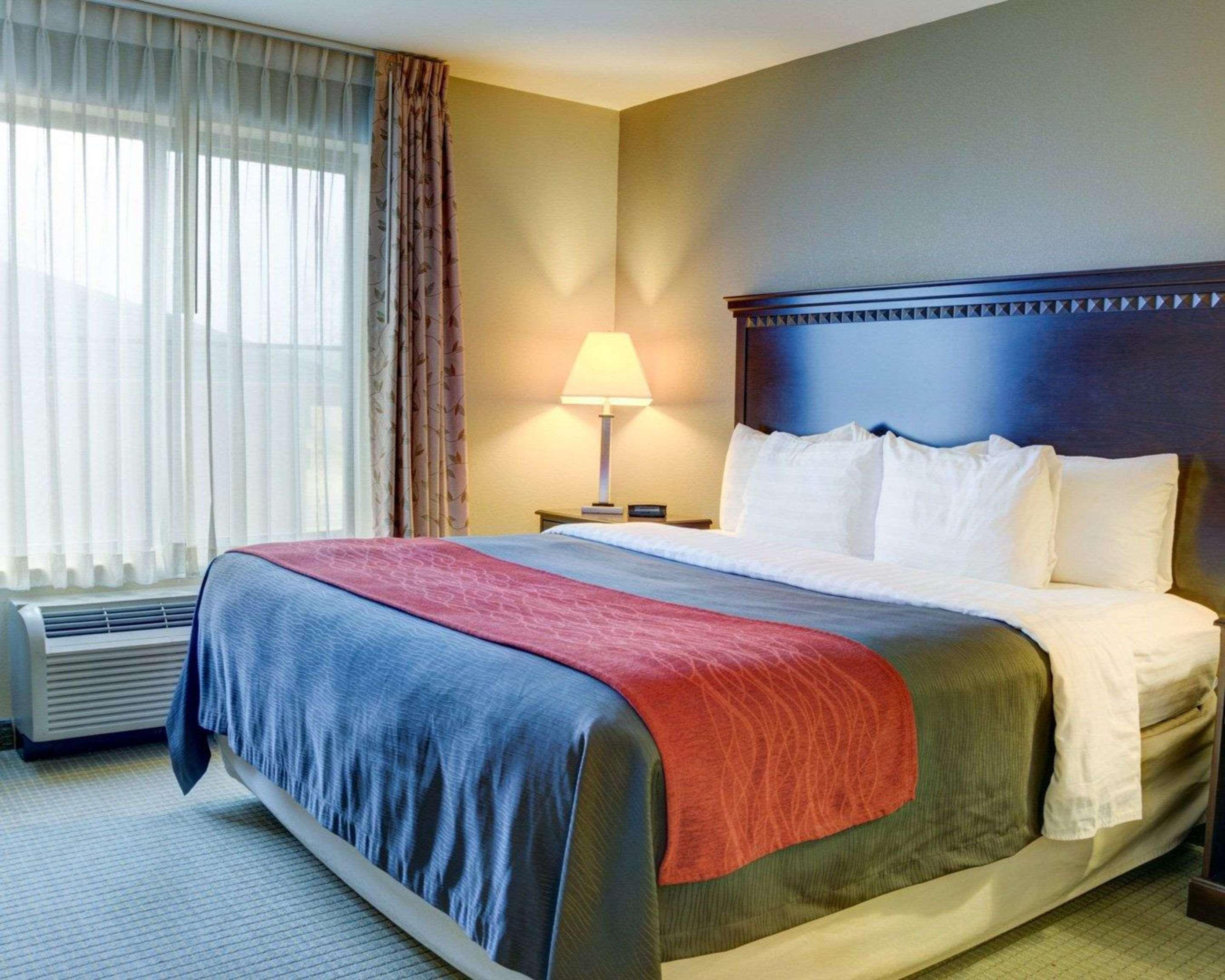 Comfort Inn & Suites Russellville I-40 מראה חיצוני תמונה