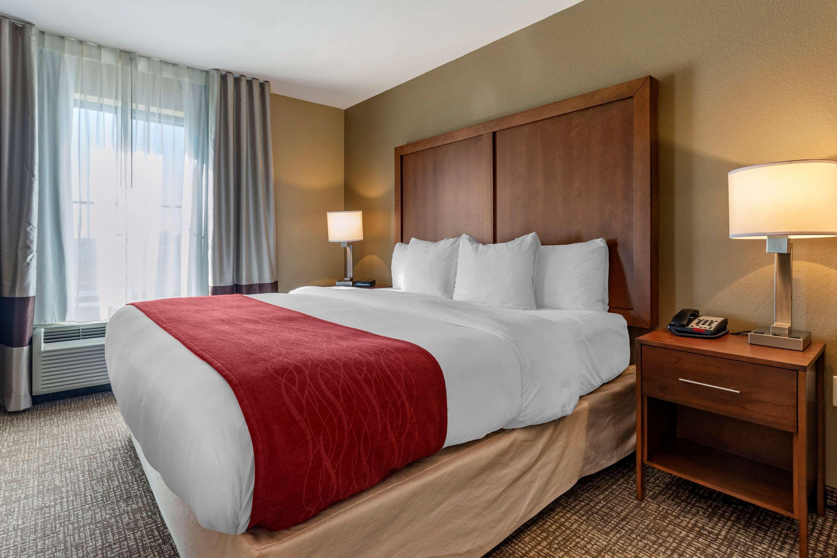 Comfort Inn & Suites Russellville I-40 מראה חיצוני תמונה